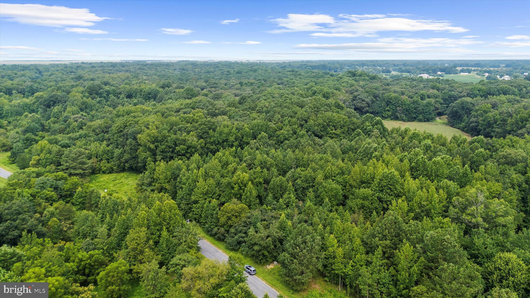 Burnt Mill Road Ridgely, MD 21660 - Photo 6 of 7 a view of a green field