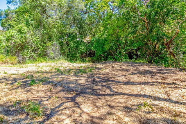 a view of dirt yard with a trees