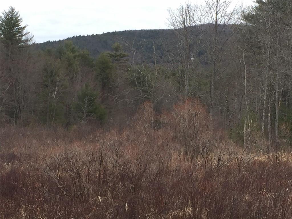 30 Denmark Road Fryeburg, ME 04037 - Photo 1 of 10 Photo