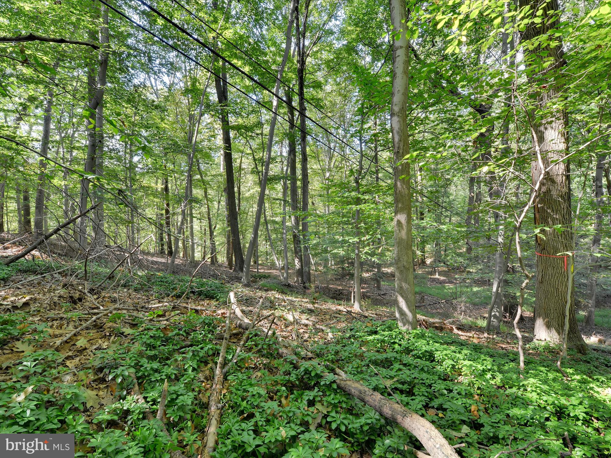 14 Rampart West Media, PA 19063 - Photo 45 of 62 Gallery Image 45