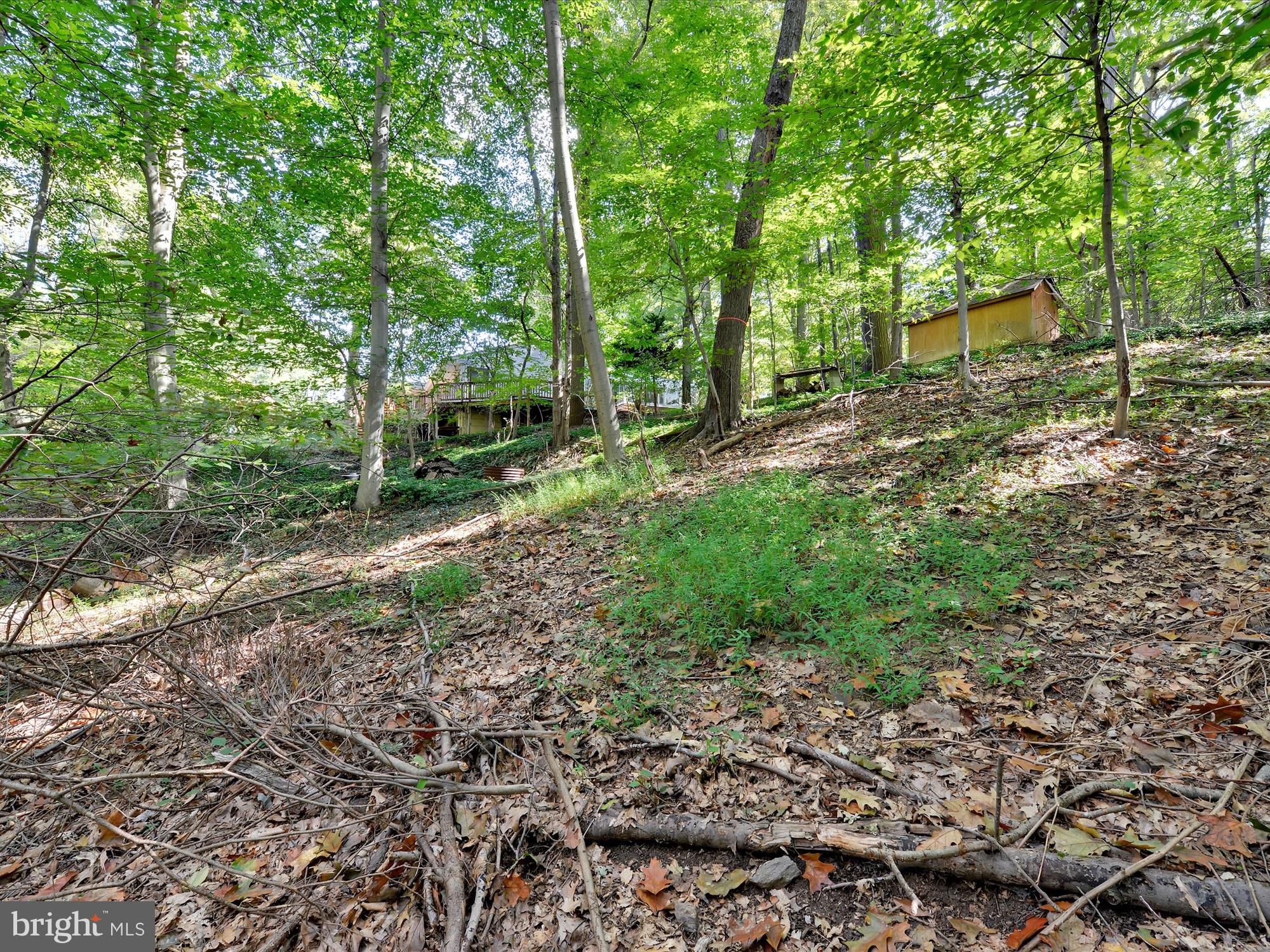 14 Rampart West Media, PA 19063 - Photo 46 of 62 Gallery Image 46