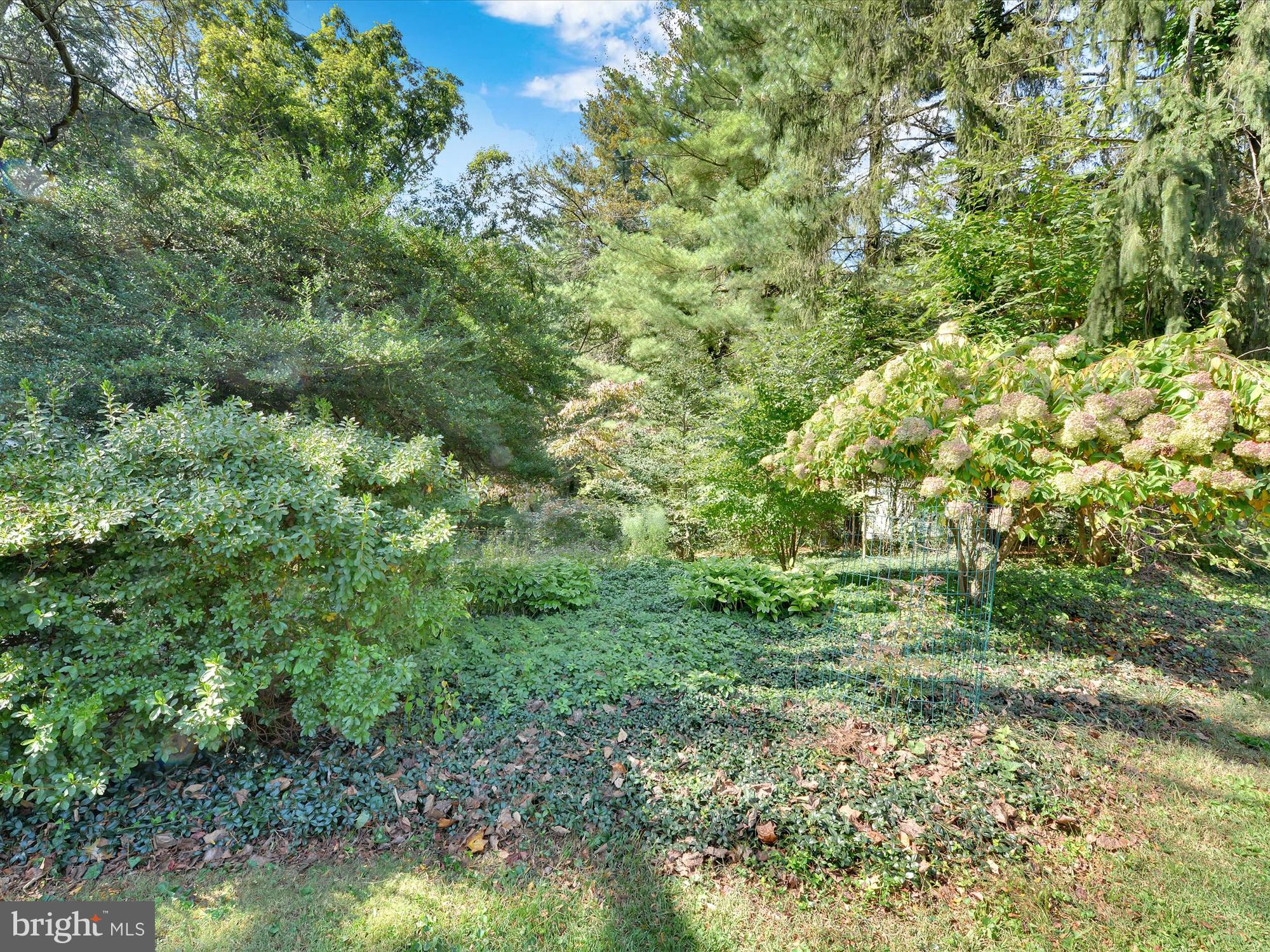 14 Rampart West Media, PA 19063 - Photo 8 of 62 Gallery Image 8