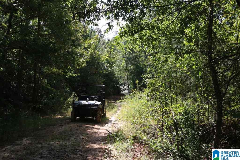 Sprayberry Road, Unit 103 Cropwell, AL 35054 - Photo 31 of 48