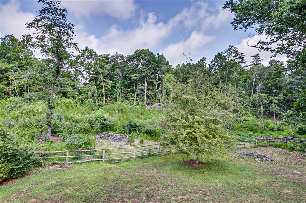 1449 New Salem Road Randleman, NC 27317 - Photo 28 of 30 Some of the acreage