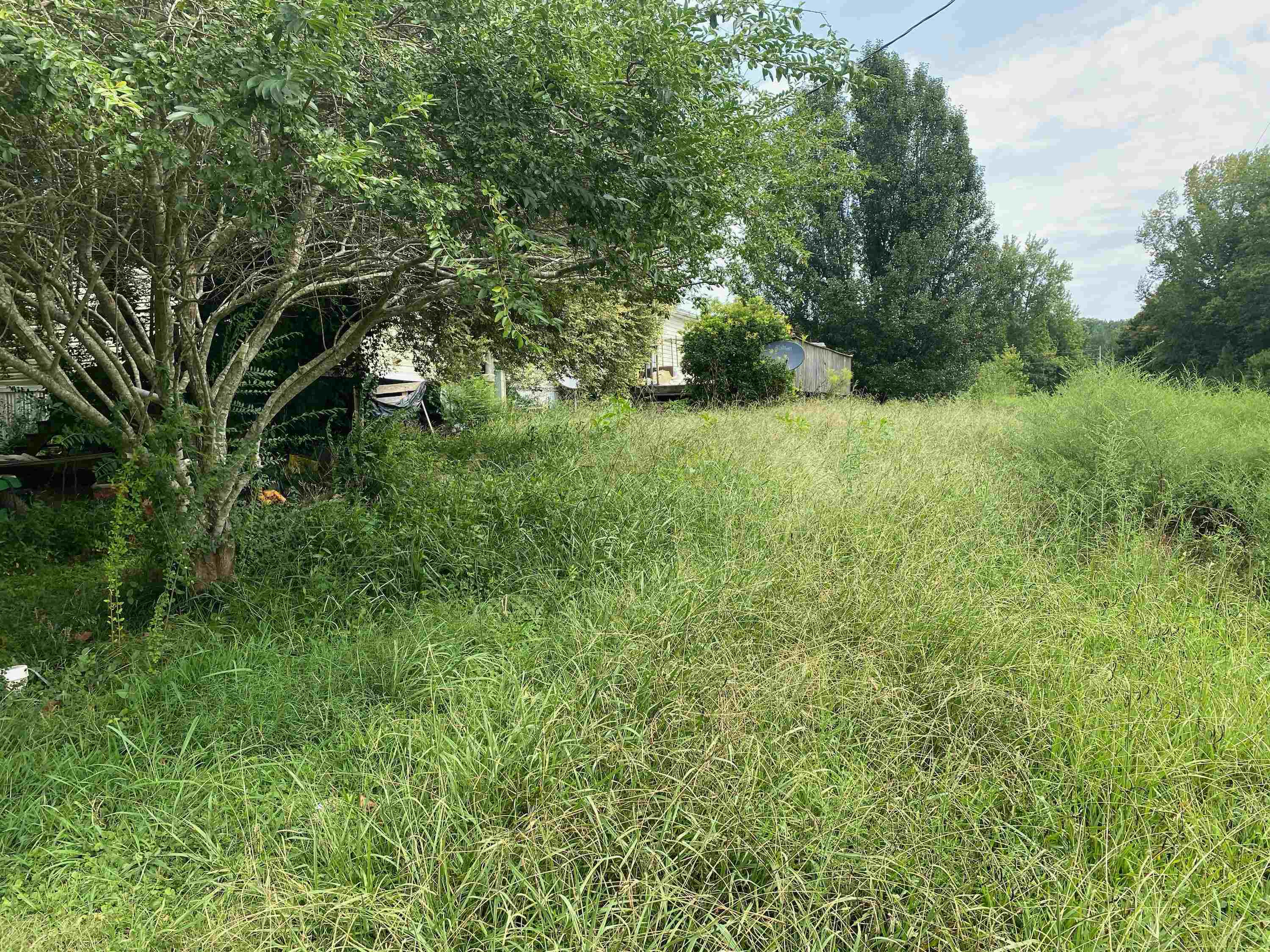 1180 Midyett Road Toone, TN 38381 - Photo 4 of 13 Photo 4