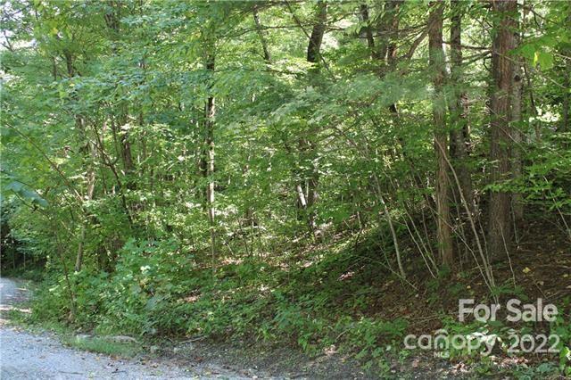 0 Melrose Mountain Road, Unit 506 Tryon, NC 28782 - Photo 2 of 9 a view of a lush green forest