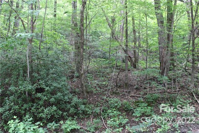 0 Melrose Mountain Road, Unit 506 Tryon, NC 28782 - Photo 3 of 9 a view of a forest with lots of trees