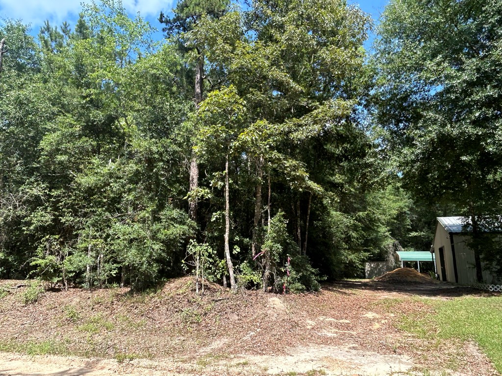 19.16-ac 19.16-ac Ramer Loop Cottonwood, AL 36320 - Photo 17 of 34
