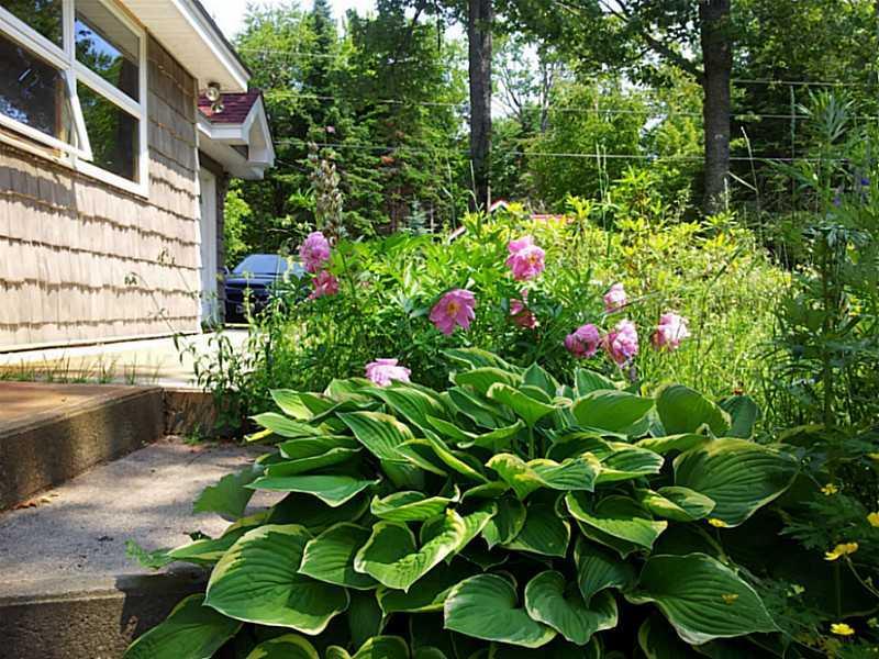 110 North Bay Road Greenville, ME 04441 - Photo 3 of 29 Other. Landscaping
