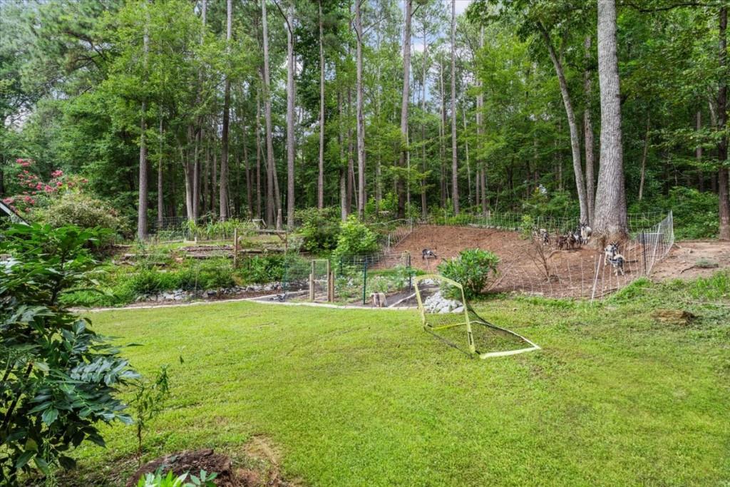 1279 Dillon Road Austell, GA 30168 - Photo 51 of 64 Gallery Image 51