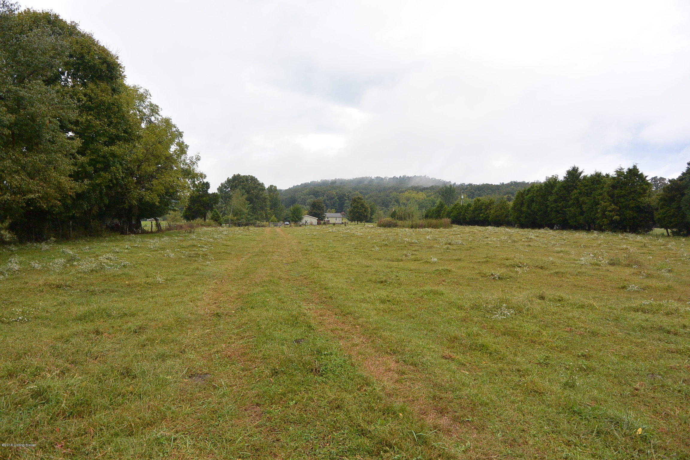 1457 Wheeler Road Bardstown, KY 40004 - Photo 17 of 24 DSC_0014