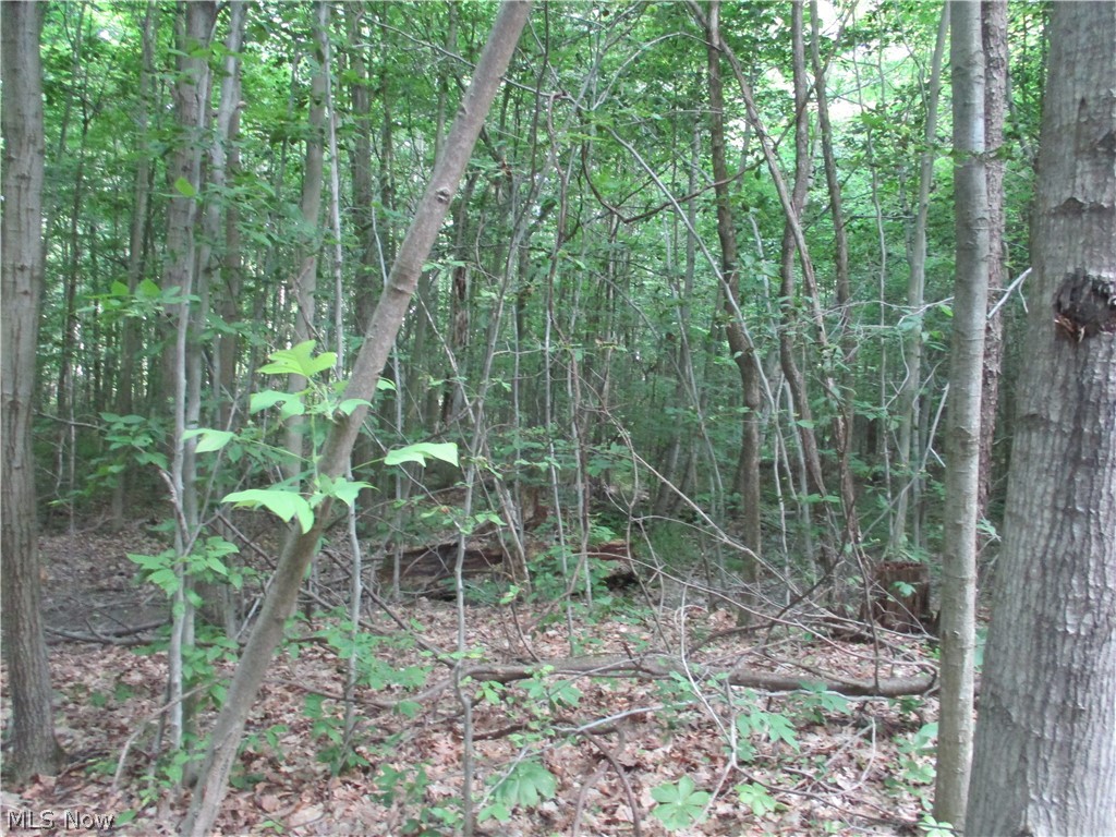 Dodge Road Rome, OH 44085 - Photo 10 of 19