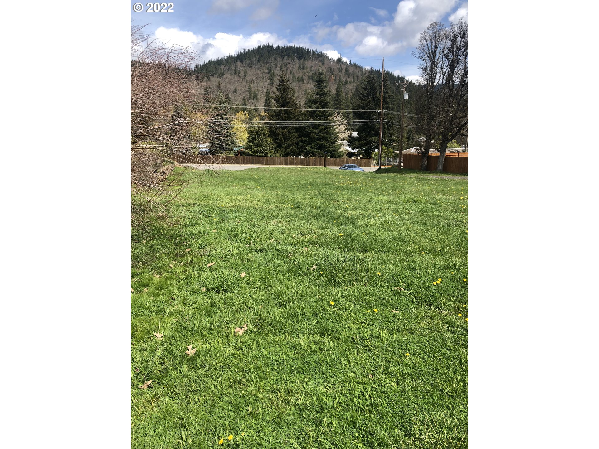 145 Loop Road White Salmon, WA 98672 - Photo 3 of 5