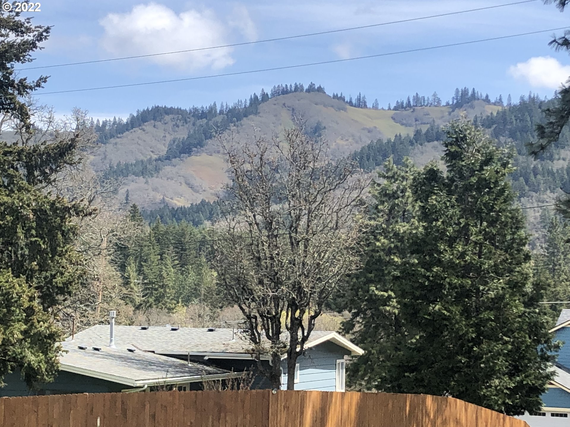 145 Loop Road White Salmon, WA 98672 - Photo 5 of 5