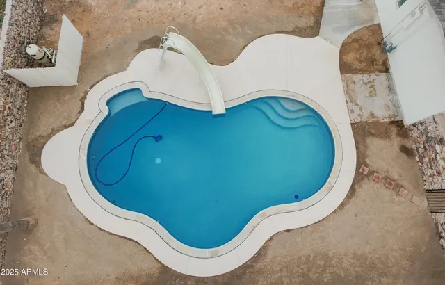 a view of a swimming pool with a potted plants