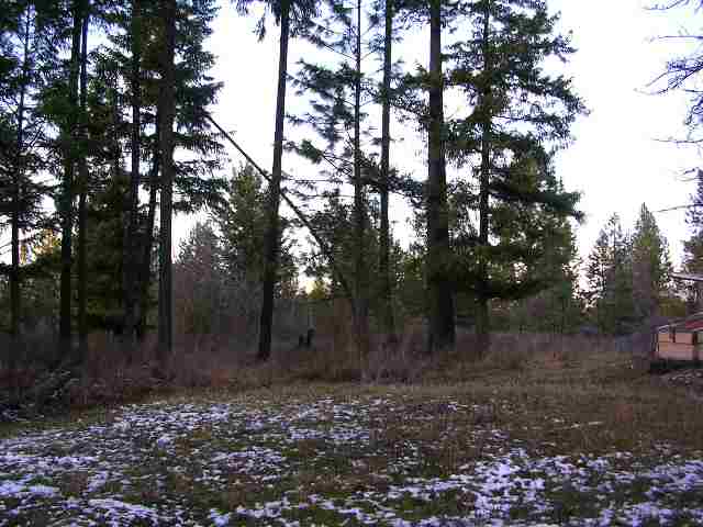 26708 North Sands Road Chattaroy, WA 99003 - Photo 8 of 9