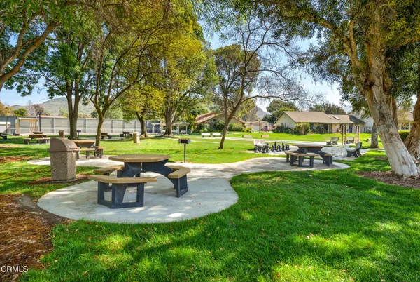 a view of a park with large trees