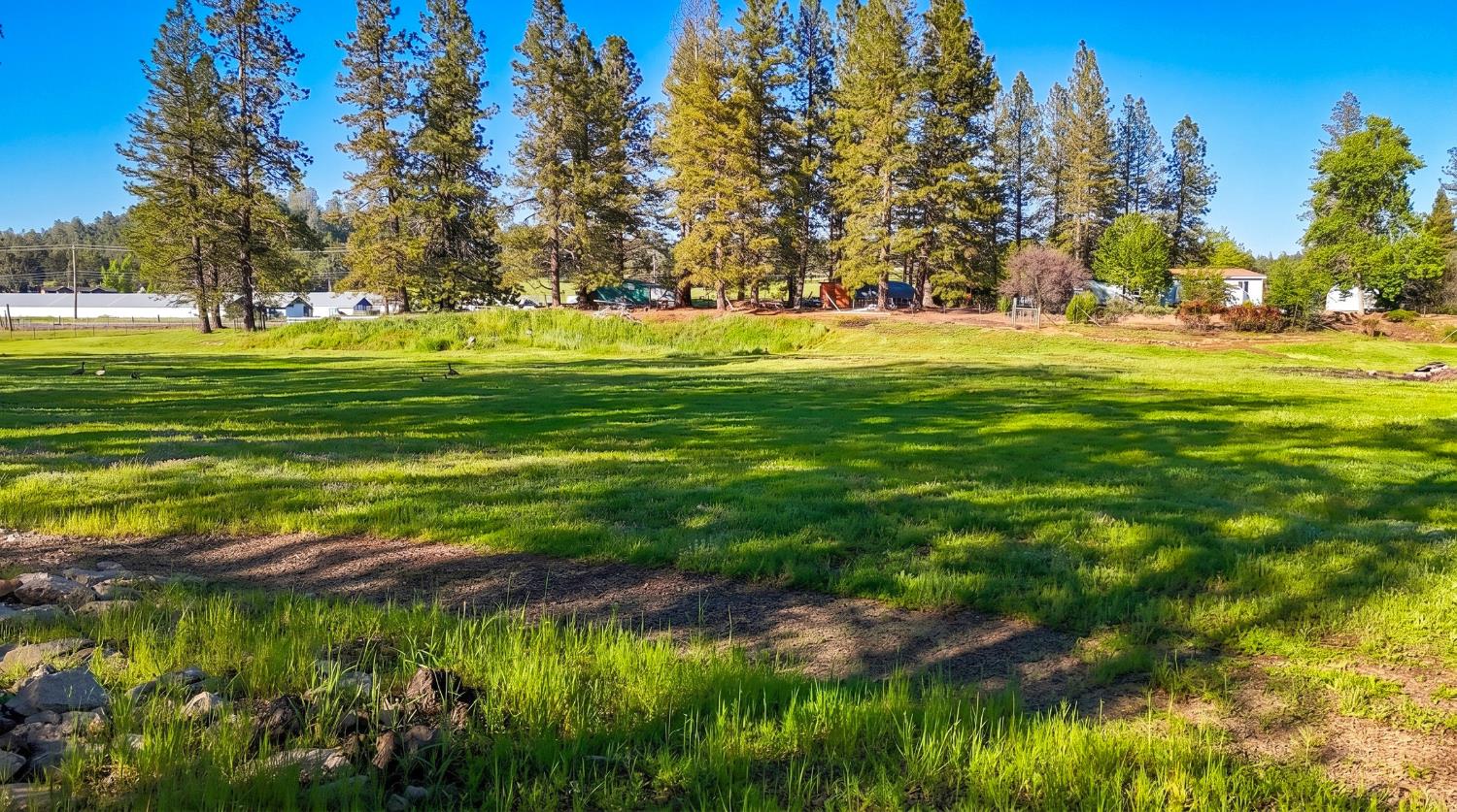 4360 Pleasant Valley Road Placerville, CA 95667 - Photo 9 of 71 a view of a golf course