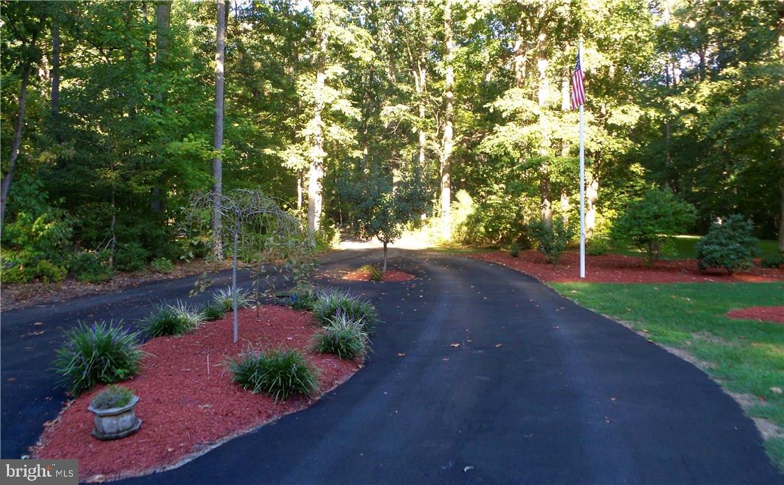 20210 Cool Spring Road Milton, DE 19968 - Photo 21 of 25 Gallery Image 21