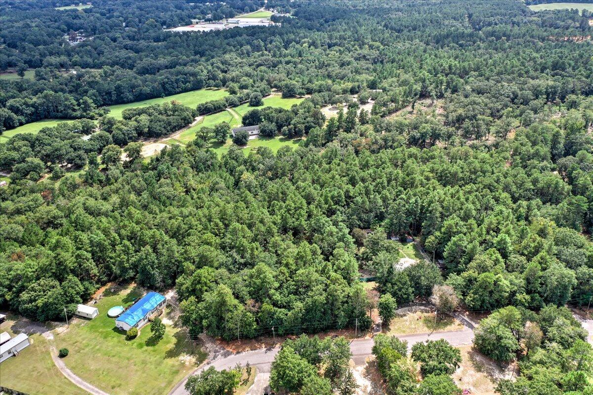 Tbd Snipes Road Aiken, SC 29801 - Photo 6 of 12