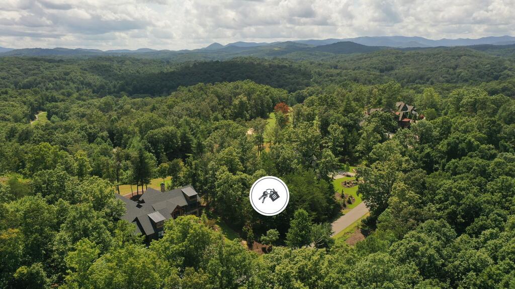Lot 93 North Fallen Leaf Road Mineral Bluff, GA 30559 - Photo 3 of 15 Gallery Image 3