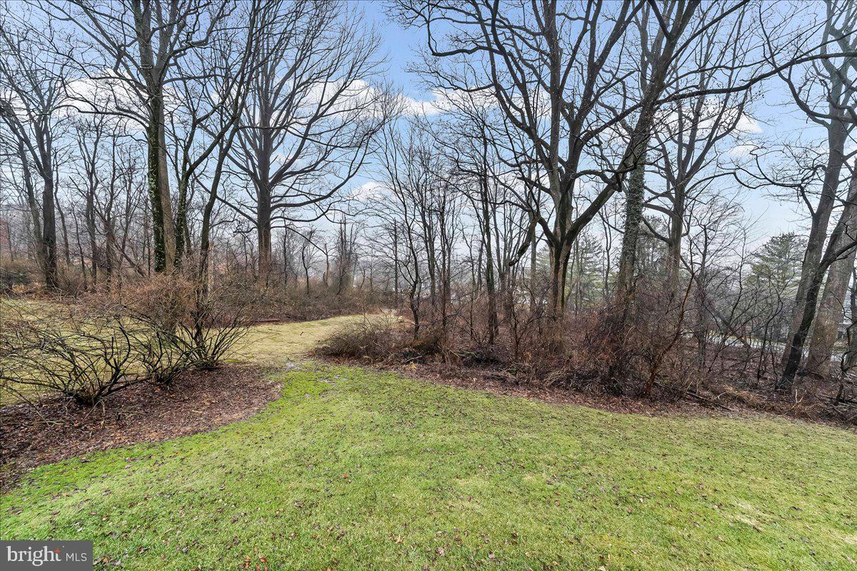 720 Brainerd Road Exton, PA 19341 - Photo 53 of 62 a view of backyard with tree