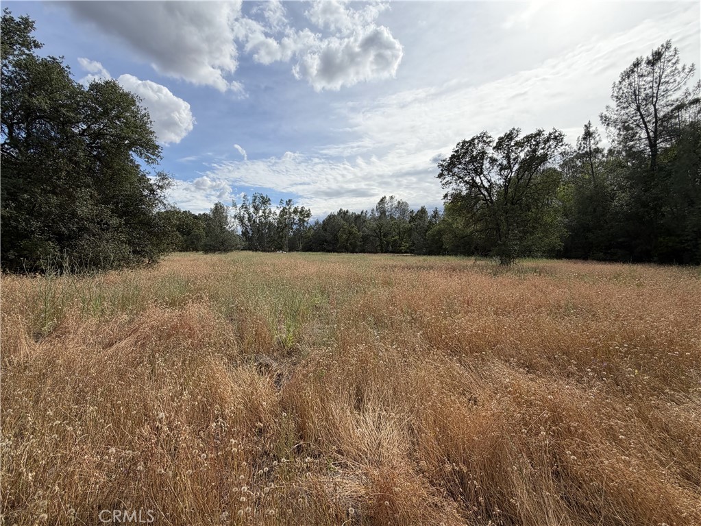 0 Ophir Road Oroville, CA 95966 - Photo 8 of 29 a view of outdoor space and yard