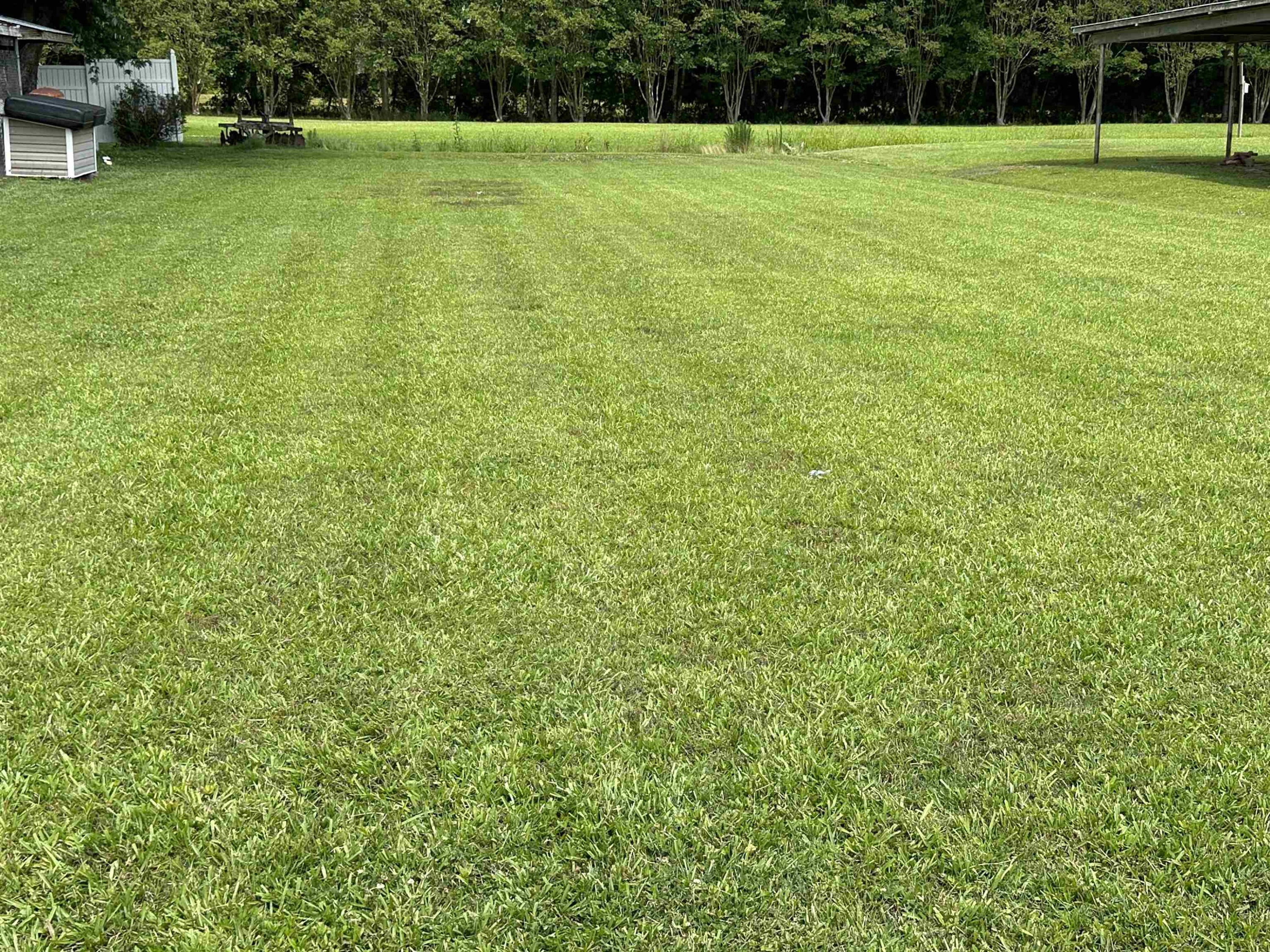 225 Iris Bryant Road Erwin, NC 28339 - Photo 15 of 18 Backyard