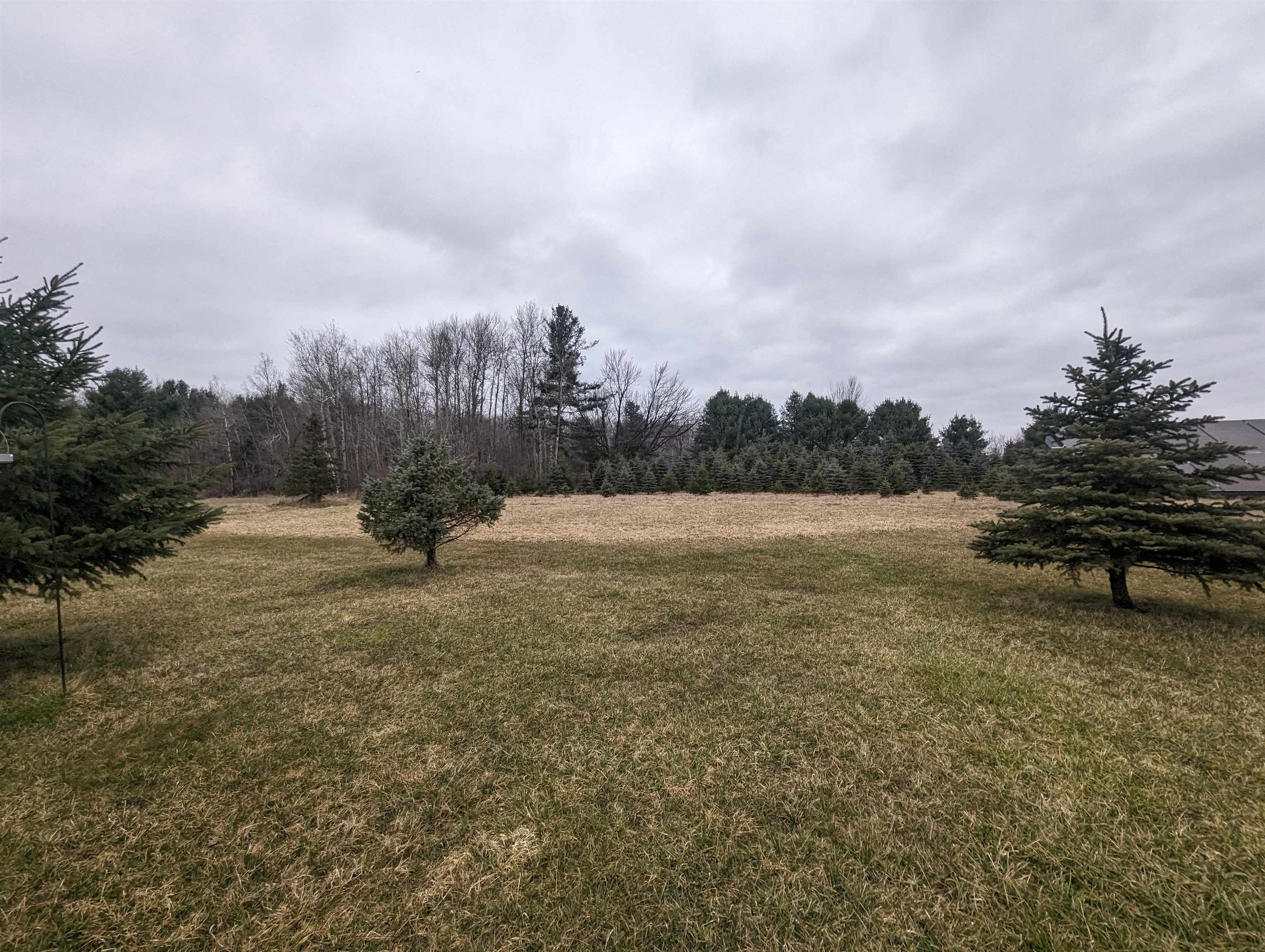 6250 Ellison Road Sterling, MI 48659 - Photo 20 of 51