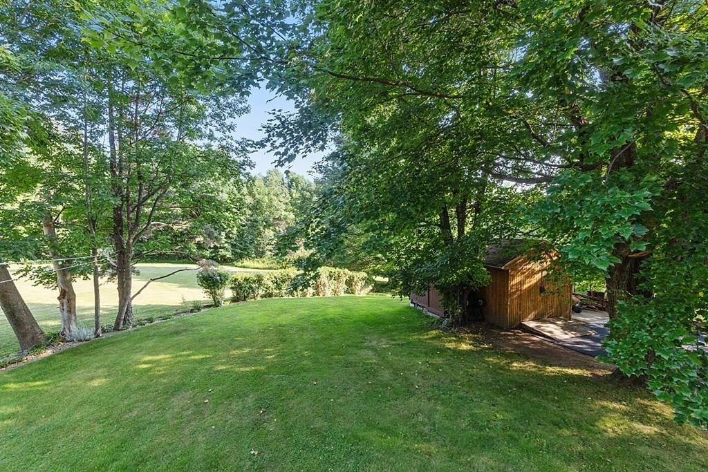322 Patriots Road Templeton, MA 01468 - Photo 2 of 42 a view of a tree in a yard