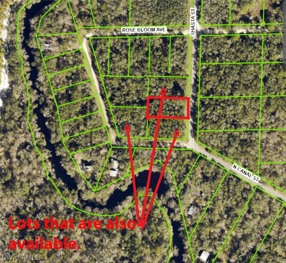 7491 Shasta Street Webster, FL 33597 - Photo 3 of 5