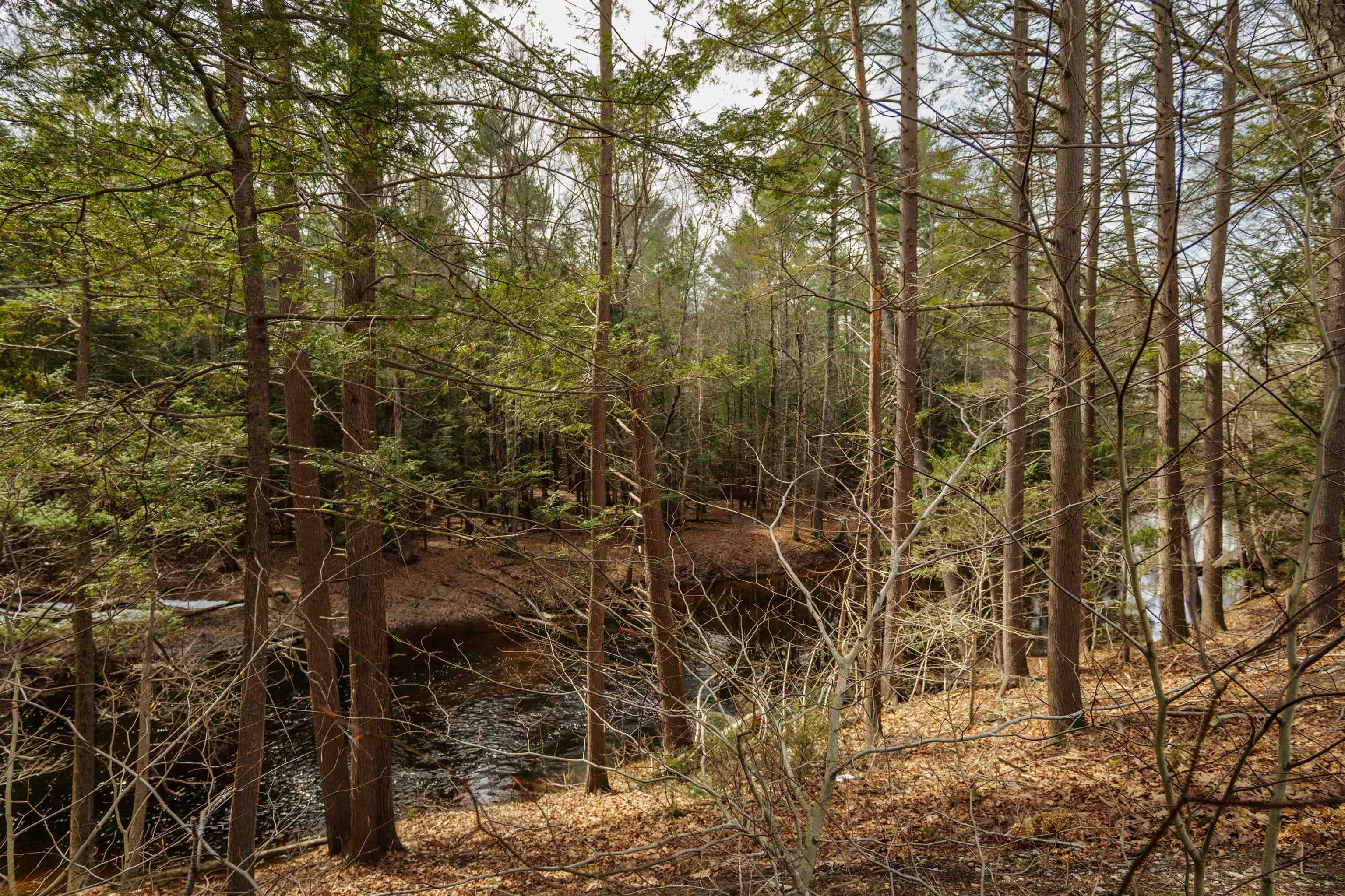 214 Robin Hood Lane Exeter, NH 03833 - Photo 21 of 26