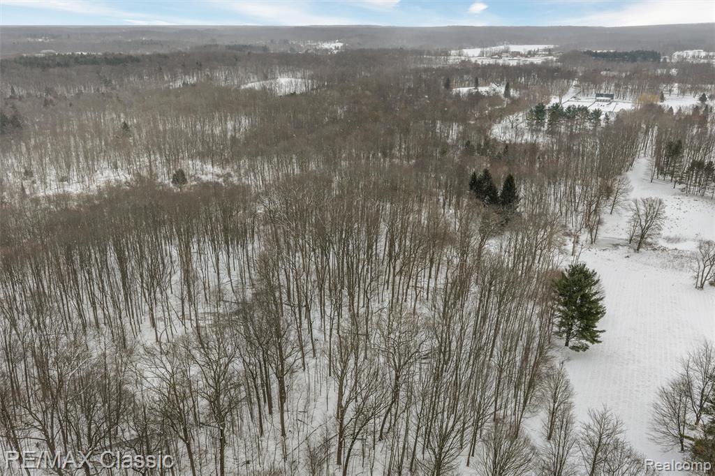 3737 Rock Valley Road Metamora, MI 48455 - Photo 7 of 9