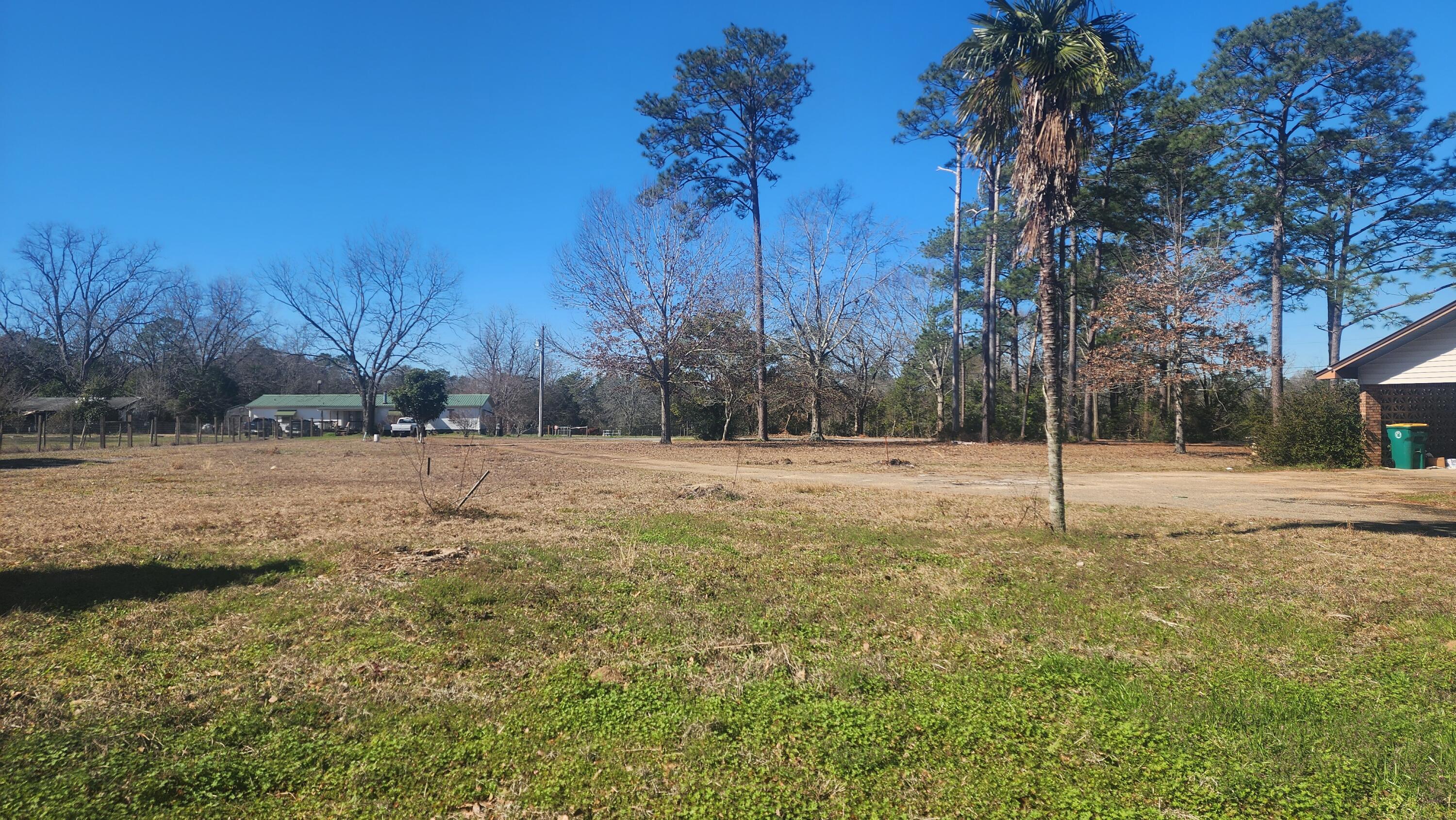 6127 Barnes Road Crestview, FL 32536 - Photo 4 of 16 a view of yard covered with trees