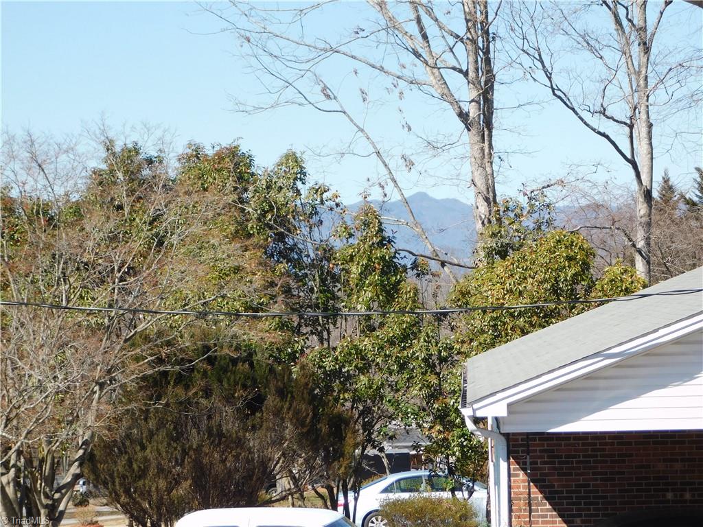 162 Maple Hollow Road Mount Airy, NC 27030 - Photo 26 of 36 Gallery Image 26
