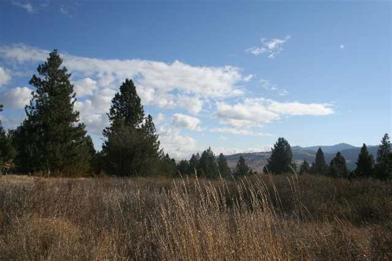 0 South Owl Road Greenacres, WA 99016 - Photo 1 of 9