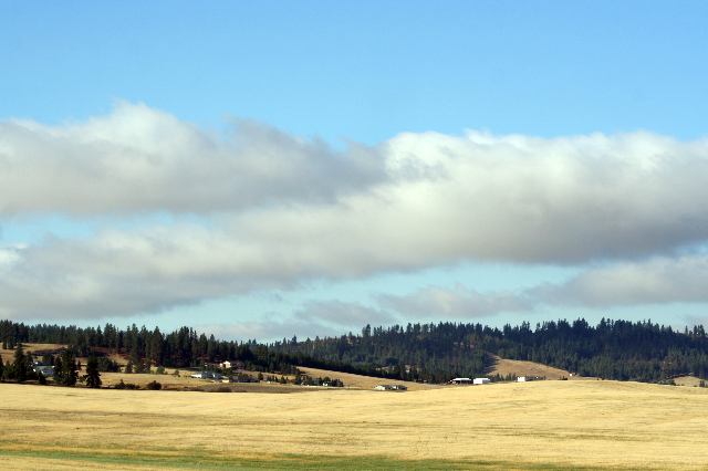 0 South Owl Road Greenacres, WA 99016 - Photo 3 of 9