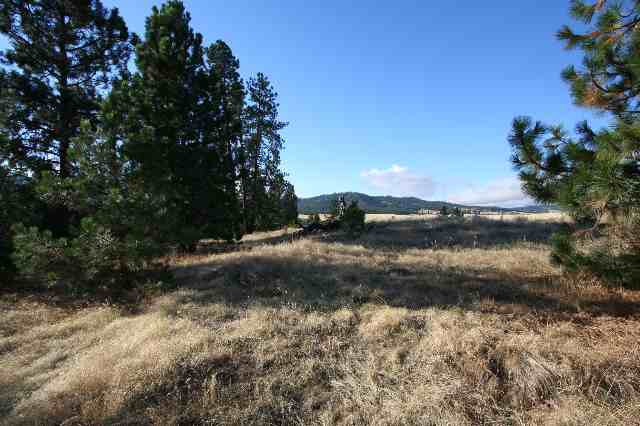 0 South Owl Road Greenacres, WA 99016 - Photo 4 of 9