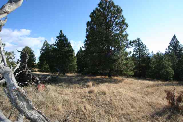 0 South Owl Road Greenacres, WA 99016 - Photo 6 of 9