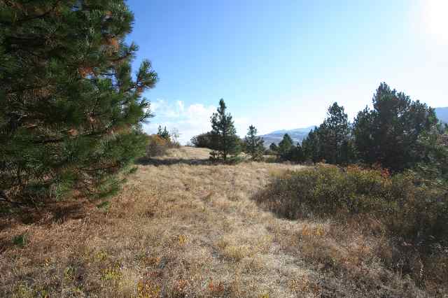 0 South Owl Road Greenacres, WA 99016 - Photo 7 of 9