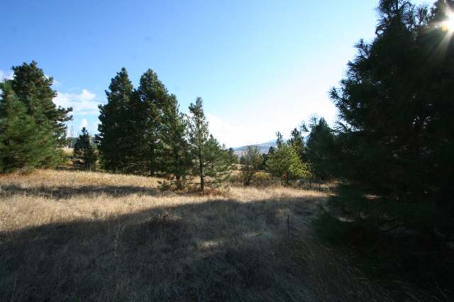 0 South Owl Road Greenacres, WA 99016 - Photo 8 of 9