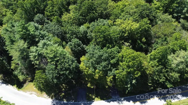 an aerial view of a garden with plants