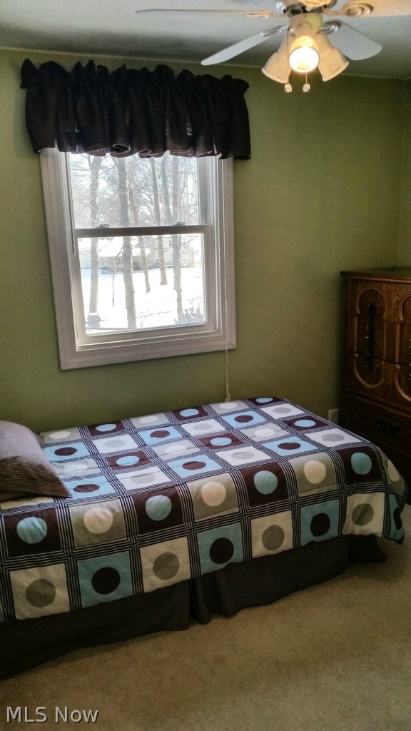 4245 Hile Road Stow, OH 44224 - Photo 18 of 25 View of third bedroom with updated carpet.
