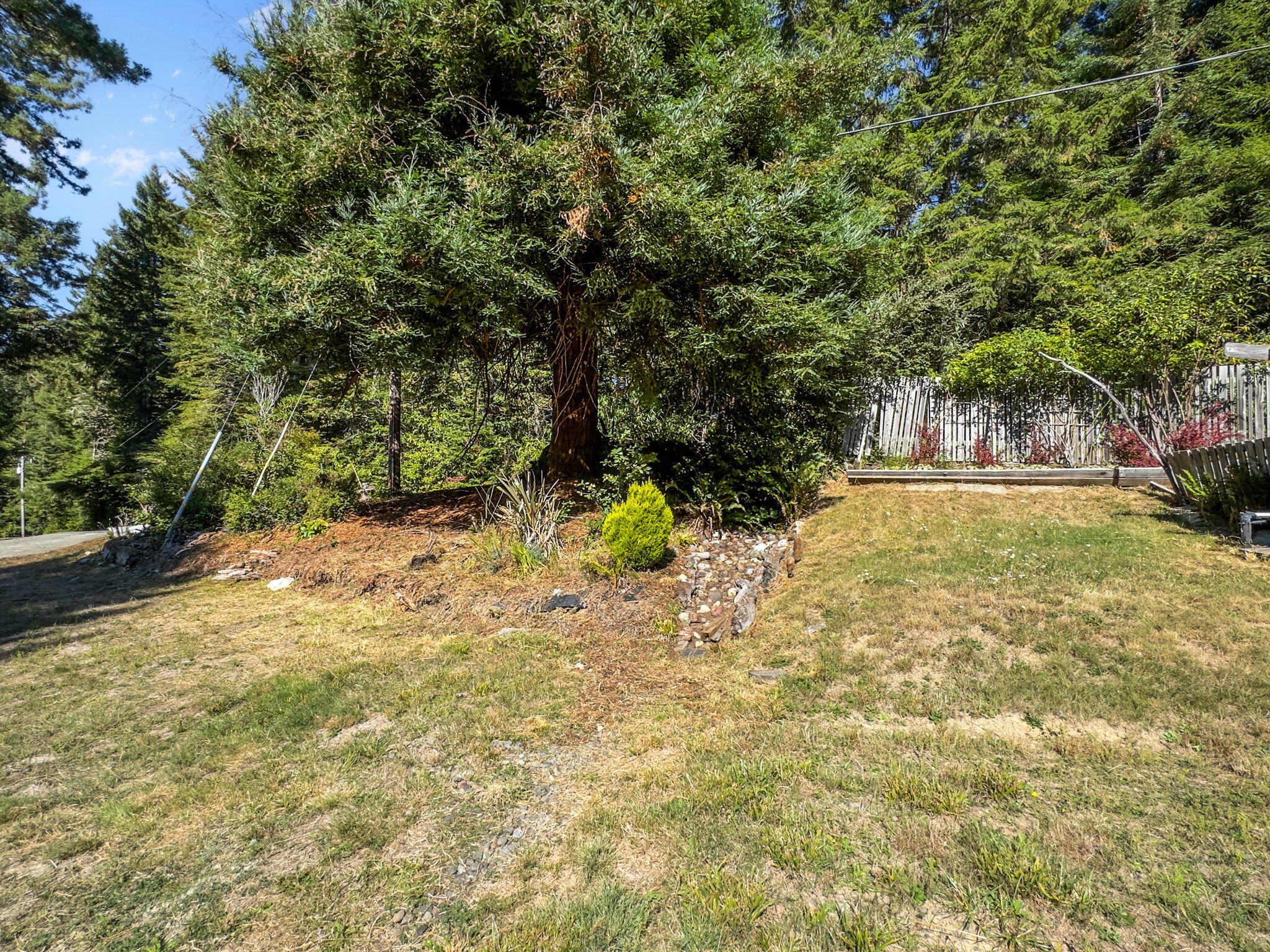7097 Fickle Hill Road Arcata, CA 95521 - Photo 15 of 43