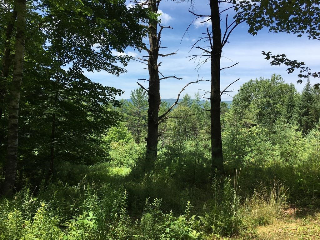 19 Pine Spur Road Lyman, NH 03585 - Photo 14 of 14