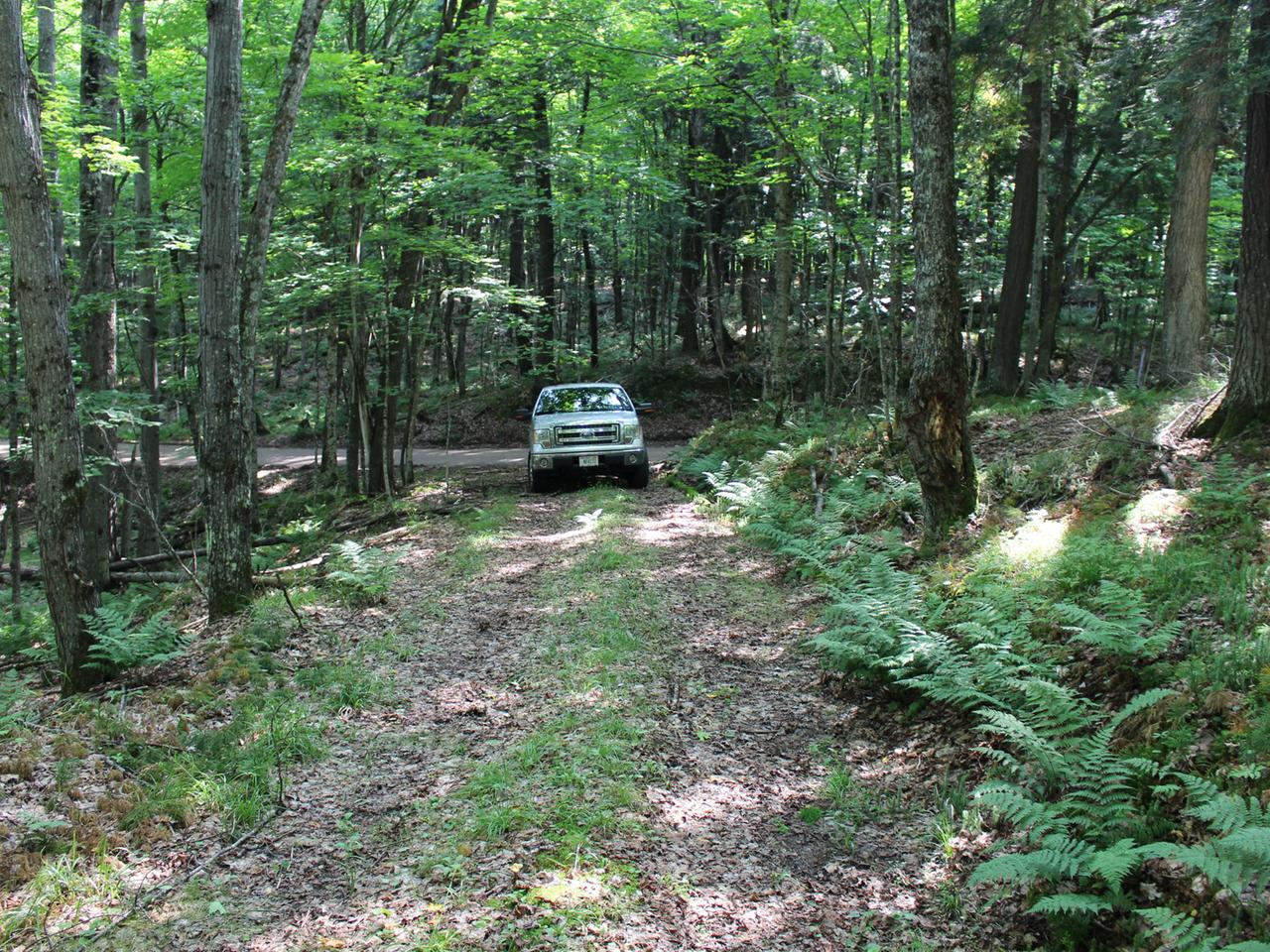 On Poor Lake Road, Unit LOT Watersmeet, MI 49969 - Photo 21 of 27 Gallery Image 21