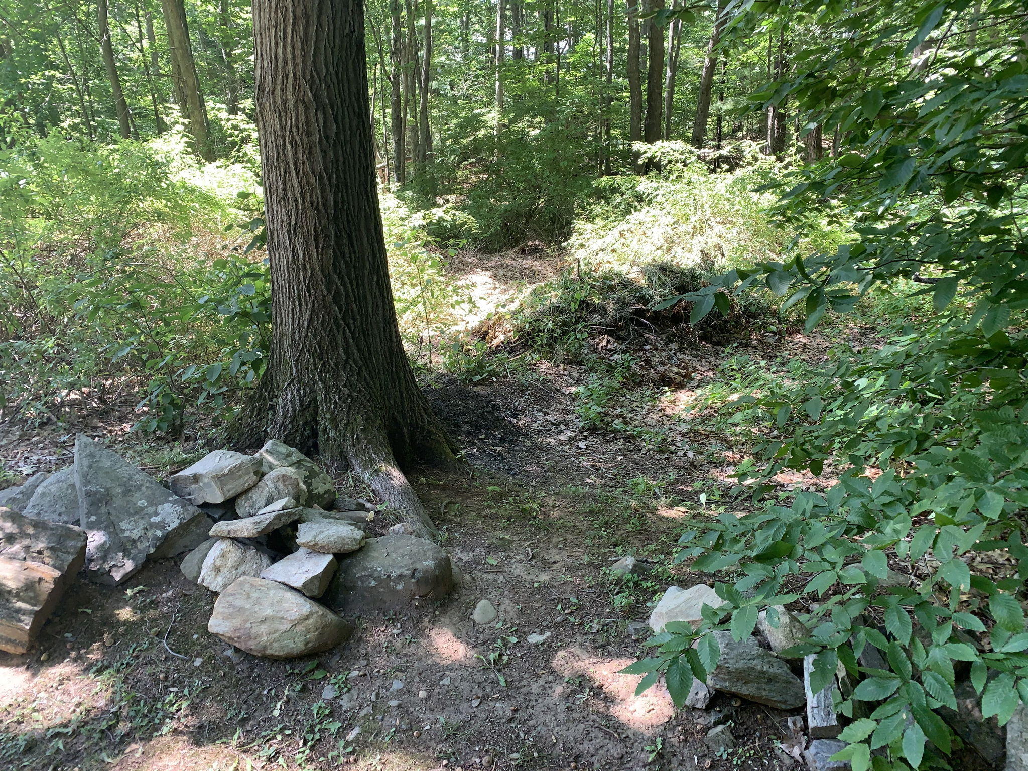 8 Woodcrest Road Cape Elizabeth, ME 04107 - Photo 31 of 35 IMG_5097