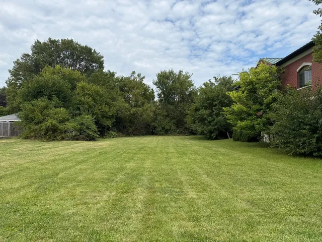 a view of a field with an trees
