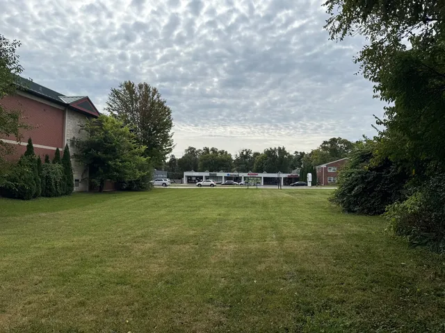 a view of a big yard with plants and large trees