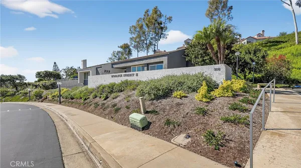 a view of a backyard with couches plants and large trees